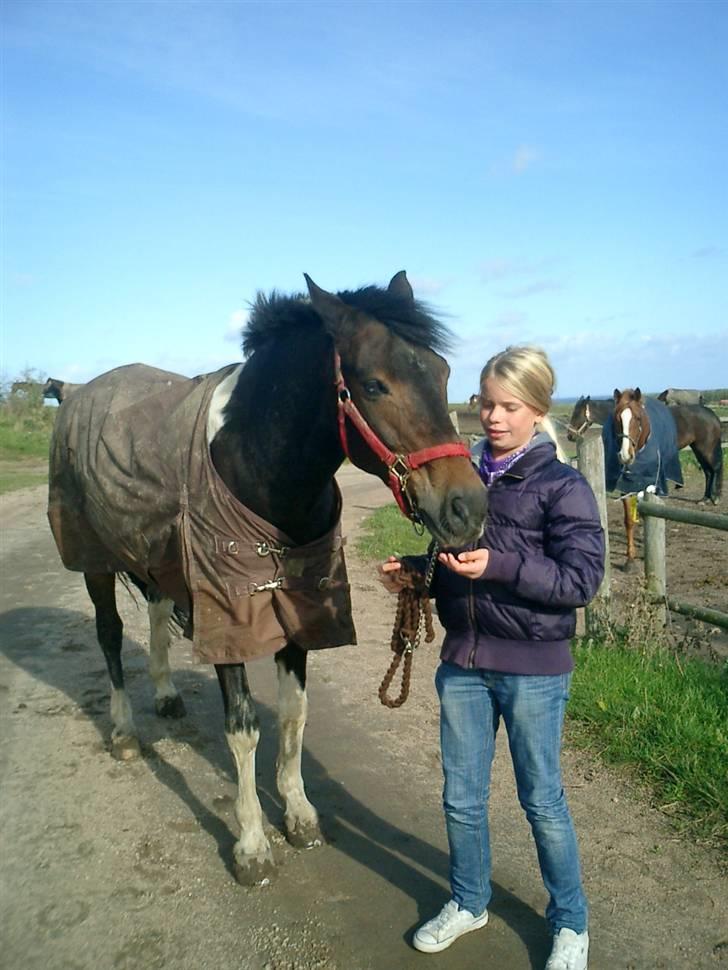 Anden særlig race Zahro -min gamle helpart billede 4