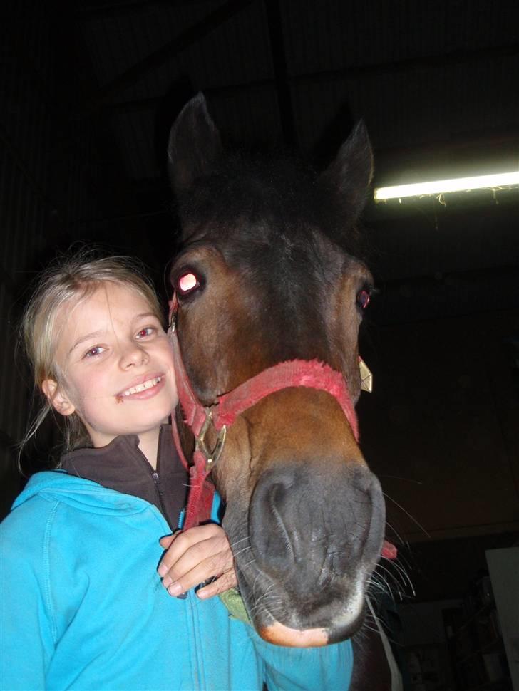 Anden særlig race Zahro -min gamle helpart billede 6