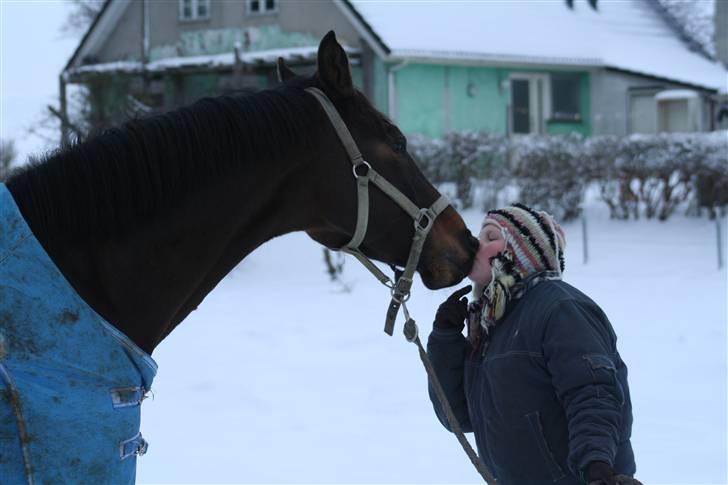Hannoveraner Columbija - Bija kysser ;D FOTO: Mor (: billede 19