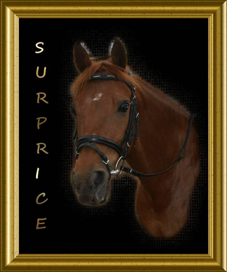 DSP Surprice - smukke smukke pony  billede 10