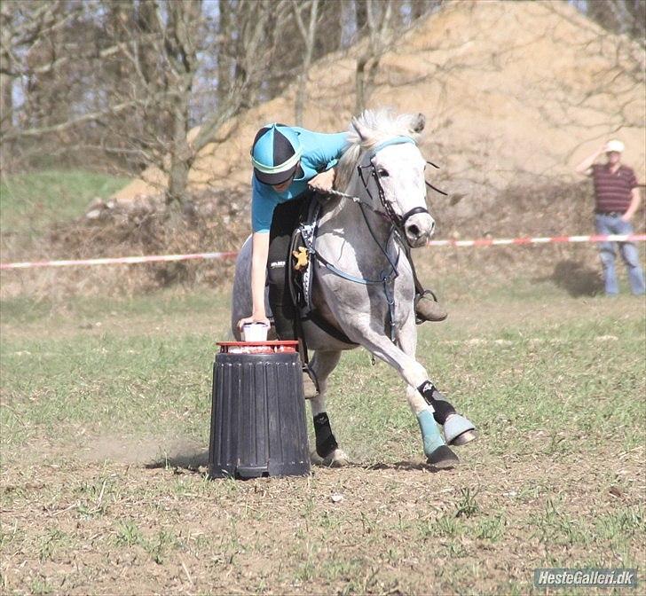 Anden særlig race Zoffi Games Pony <3 - German Pairs 2011 bokstaver :D billede 10