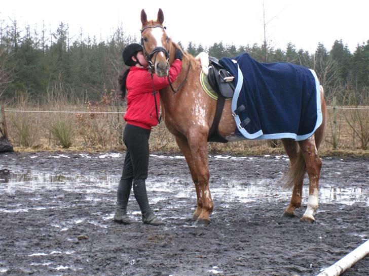 Appaloosa Pablo " solgt :(" - ihh min baby :D billede 20