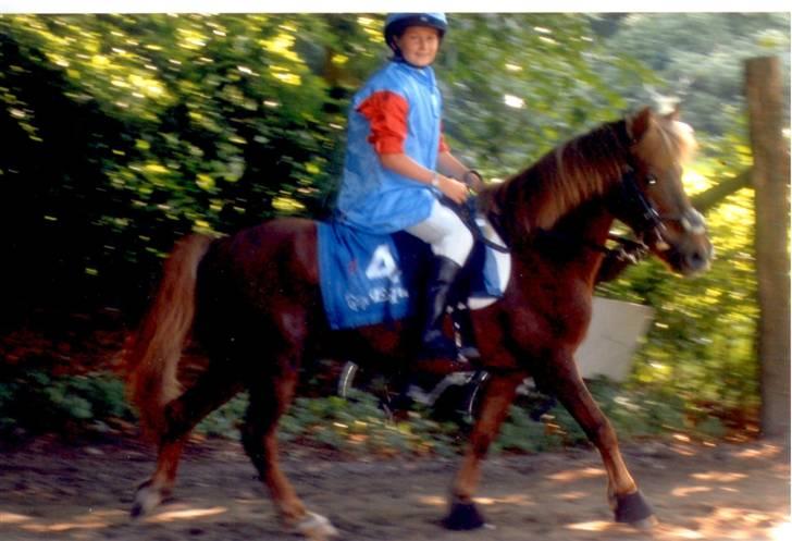 Anden særlig race valentin - valle og jeg til galopløb, vi vandt, hehe:) billede 7