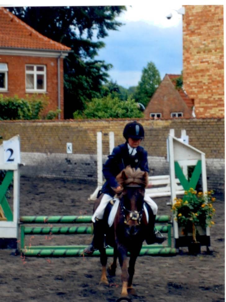 Anden særlig race valentin - springstævne på TPRK, fik en 3. plads i LC´en og en første plads i LB´en. Det var mit første stævne, og jeg havde lige fået ham :) billede 11
