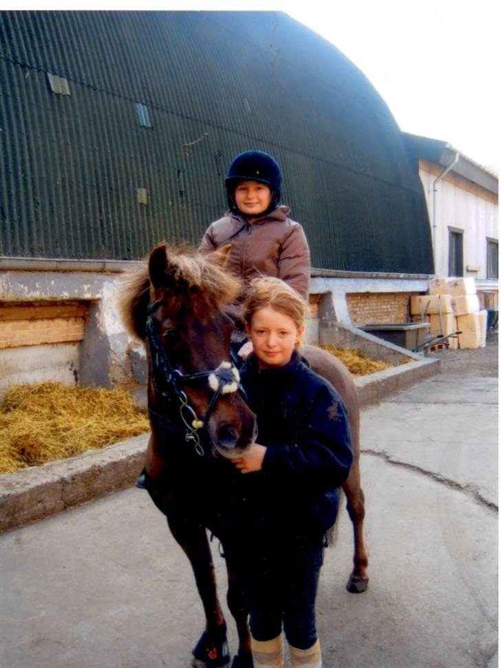 Anden særlig race valentin - nalle, valle og jeg på TPRK (: billede 20