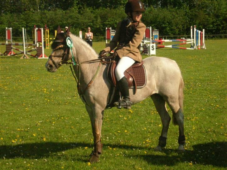 Welsh Pony (sec B) Amandas ElveraSolgt:/ - Vrensted præmieoverrakelse billede 12