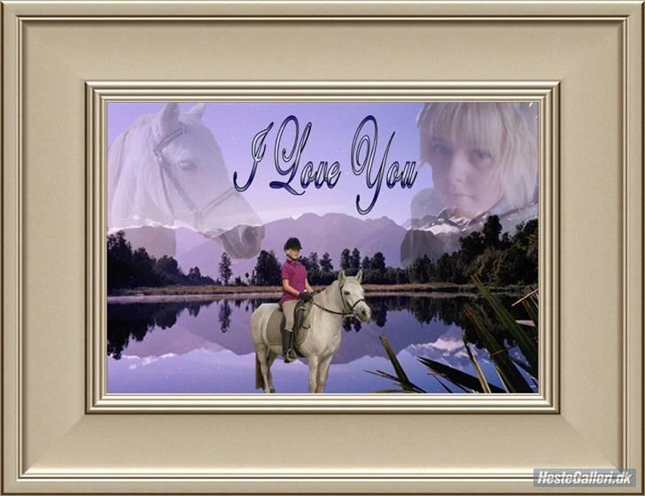 Welsh Pony (sec B) Lisette  billede 17