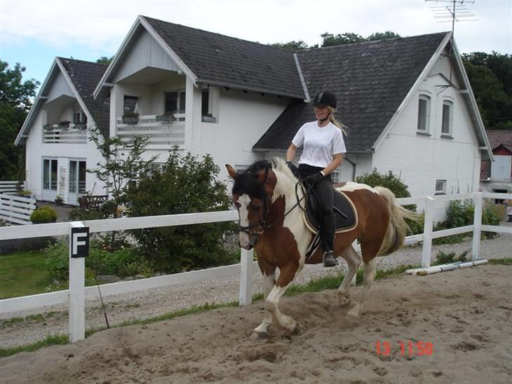 {{currentPhoto.altText}} billede {{currentPhoto.number}}