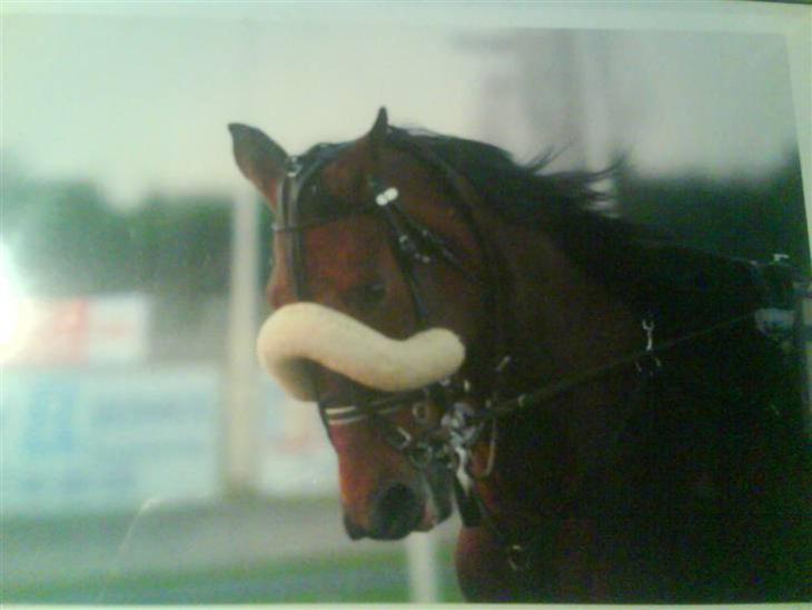 {{currentPhoto.altText}} billede {{currentPhoto.number}}