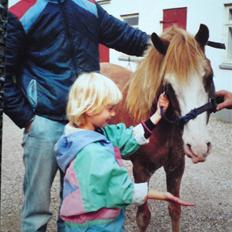 Anden særlig race Lukas R.I.P.