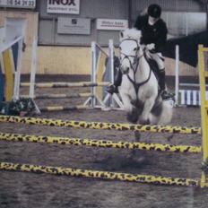 Connemara Nørlunds Sweet Dream  