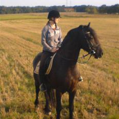 Frieser Kashmir Toustrup