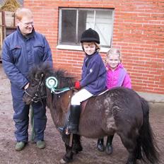 Shetlænder Sandhøjgaards Luna