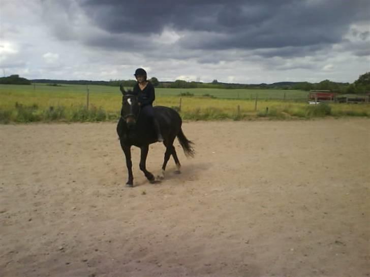Oldenborg filicia <3<3  billede 6