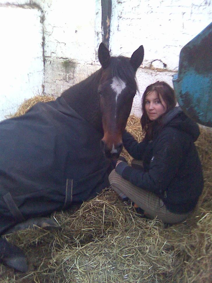 Anden særlig race Nybo's Odessa billede 12