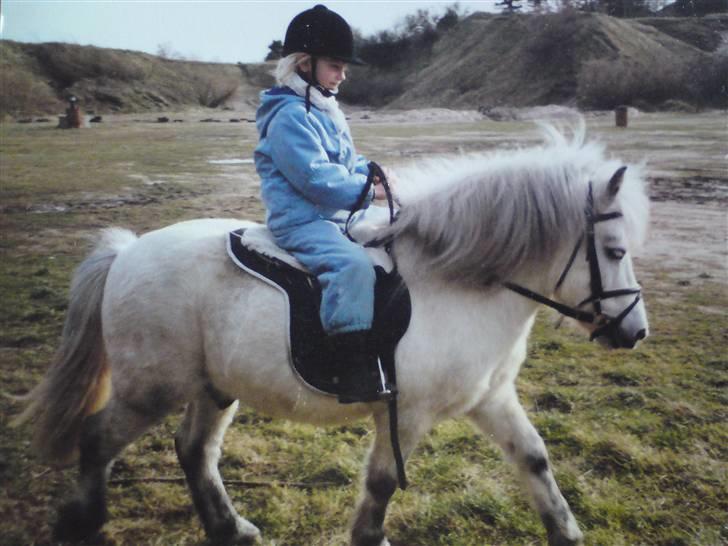 Anden særlig race Ramses SOLGT <3 <3 R.I.P. billede 12