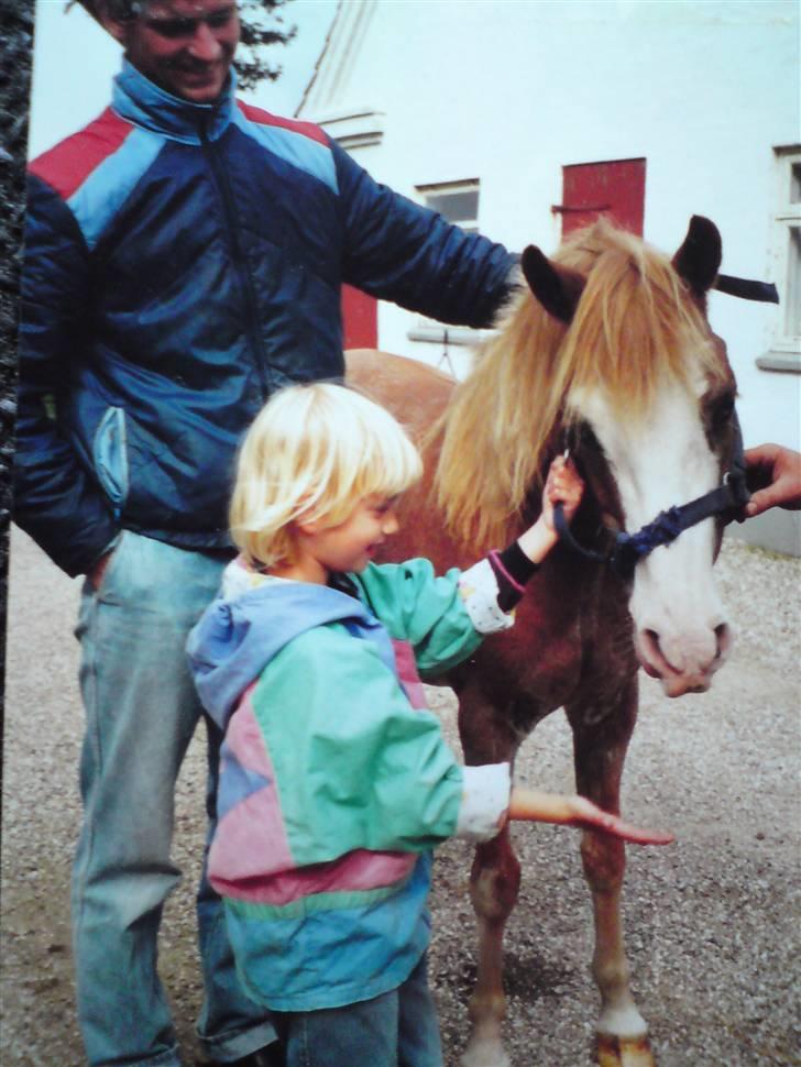 Anden særlig race Lukas R.I.P. billede 3