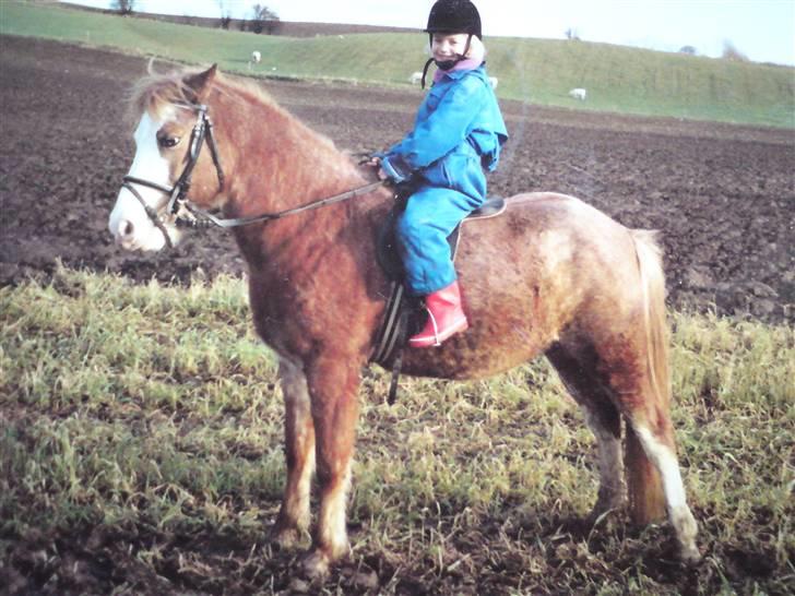 Anden særlig race Lukas R.I.P. billede 5