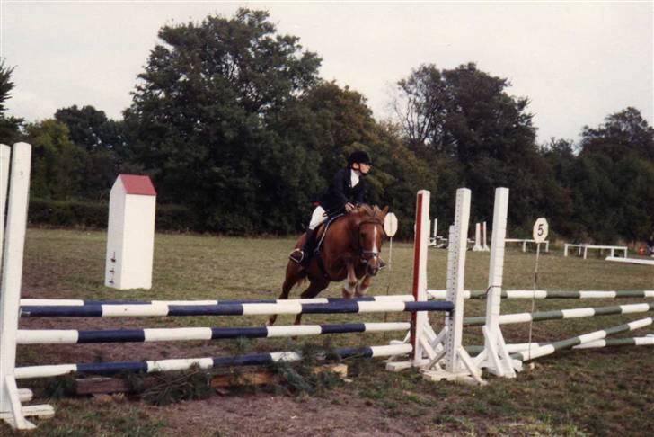 Anden særlig race Cavalir - Her er kalles avler Andy, ved at springe med hans mor Bambine, man ser straks hvor han har min elegante springteknik fra:)<3 billede 7