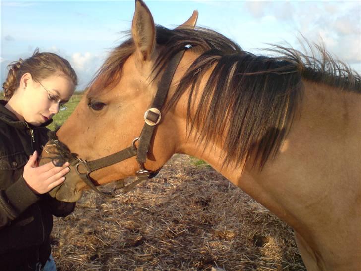 Anden særlig race Rico *Solgt* - Ah, elsker bare opmærksomhed<3 billede 6