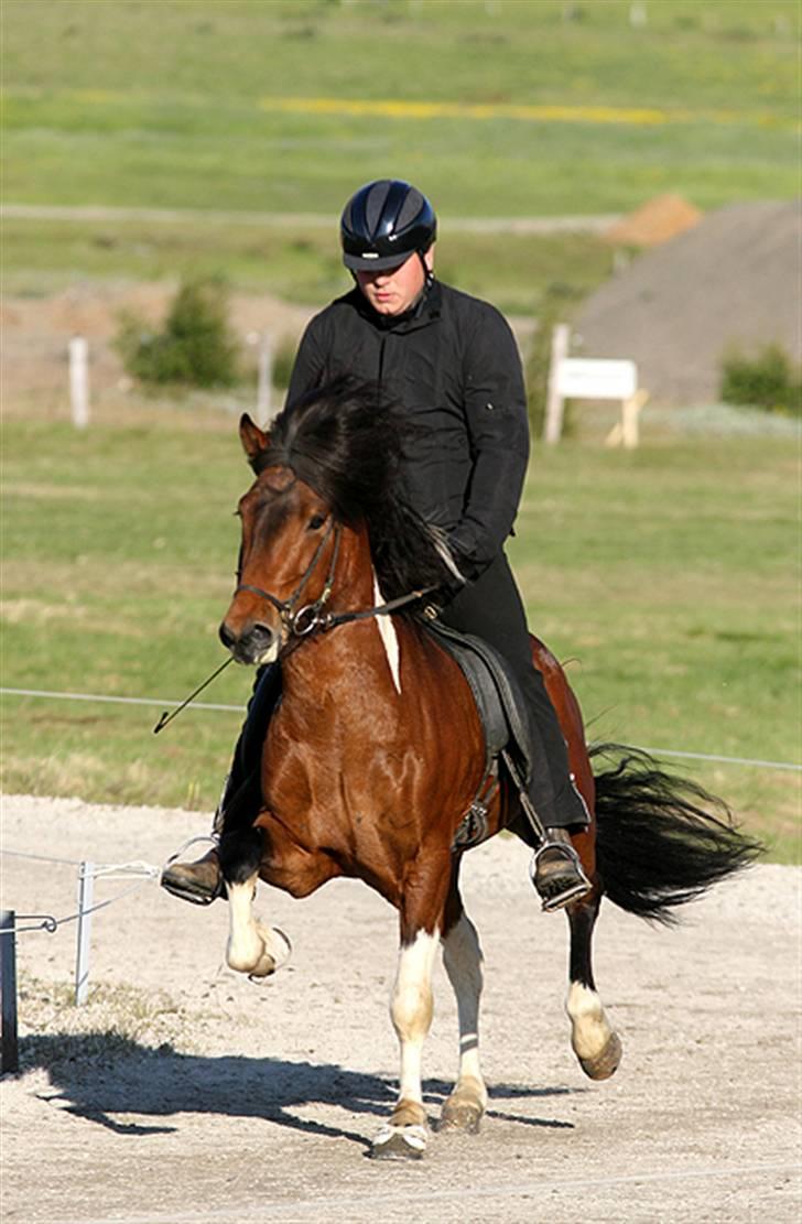 Islænder Vængur fra Brunum - Vængur fra Brunum på island billede 4