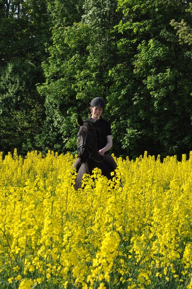 Oldenborg Rokas Noir - Rokas & mig maj 2010 billede 2