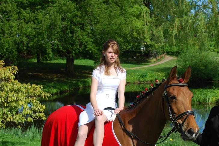 Hollandsk Sportspony Magic Avion R.I.P 16/5/11 - Til min konfirmation :D Foto: Linda billede 16