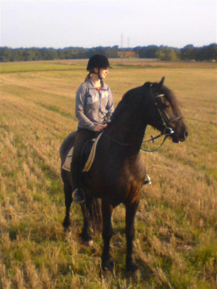 Frieser Kashmir Toustrup - Her er så mig og Kashmir billede 1