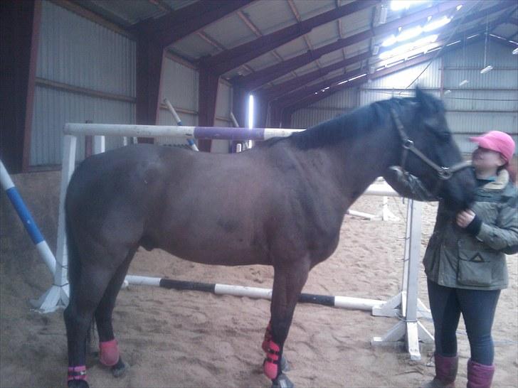 Oldenborg † Cavalcanti (Pony) - Efter han havde sprunget 1.70 billede 6