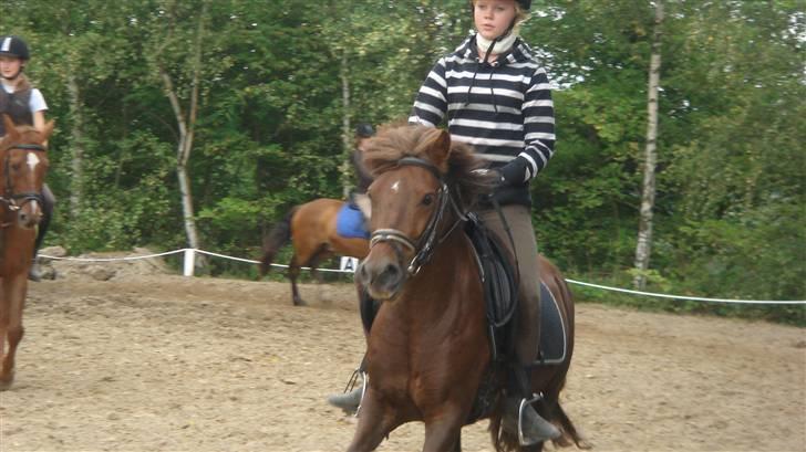 Anden særlig race Basse *SOLGT :'( * billede 13