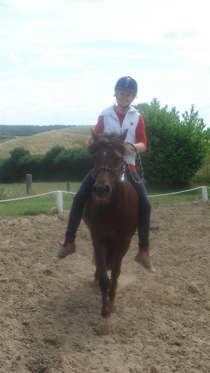 Anden særlig race Basse *SOLGT :'( * billede 14