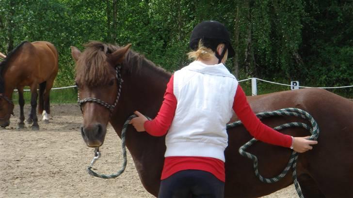 Anden særlig race Basse *SOLGT :'( * billede 15