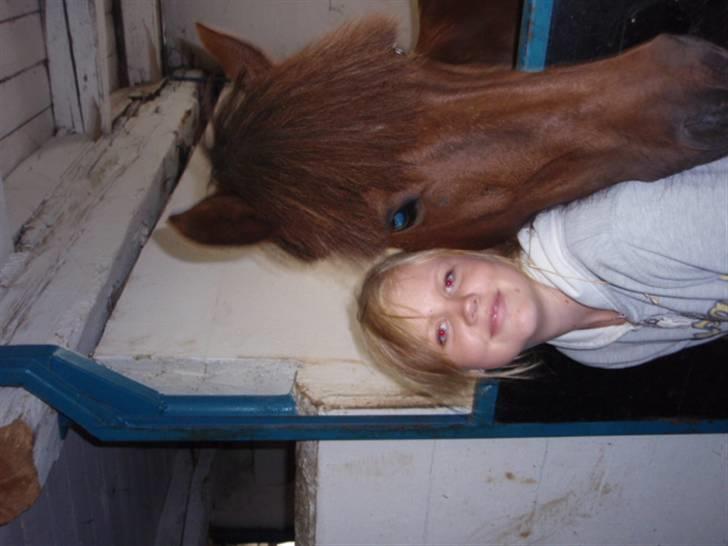 Anden særlig race Basse *SOLGT :'( * billede 17