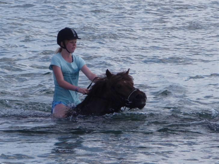 Anden særlig race Basse *SOLGT :'( * billede 19