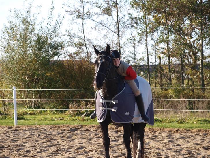 Oldenborg Eloise (solgt) billede 4