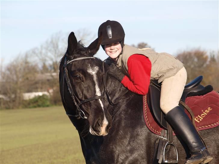 Oldenborg Eloise (solgt) billede 5