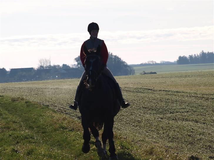 Oldenborg Eloise (solgt) billede 7