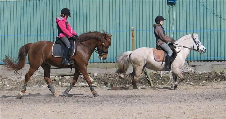 Anden særlig race ¨˜°º•¤ Aldato ¤•º°˜¨ - Anne på Freja og mig på Aldato billede 17