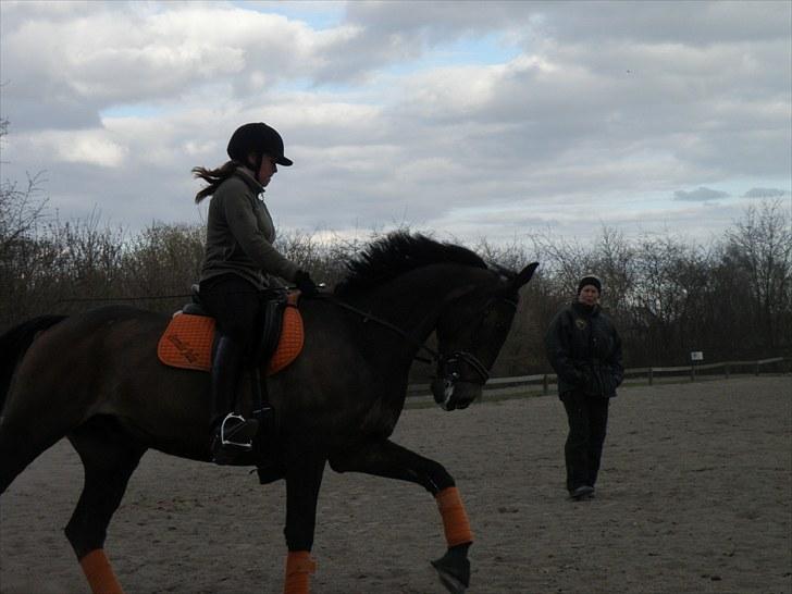 Oldenborg Pirana<3 (Solgt) - Galop til dressurtræning d. 19/4 2010 :D billede 18