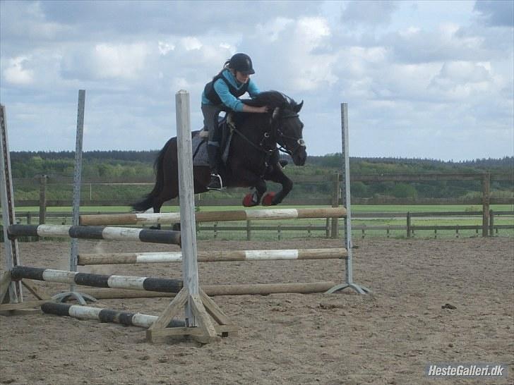 Anden særlig race Alexander<3 - Fordi han elsker det!<3 [Foto- Sarah] billede 15
