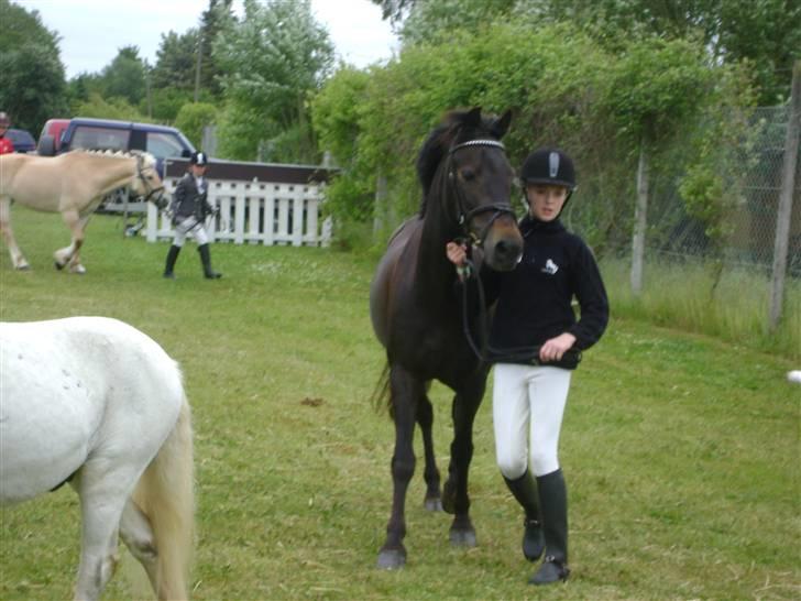 Anden særlig race Emma - Billede 6. 2009 det fynske børnedyrskue. Foto: Anne-Louise billede 6