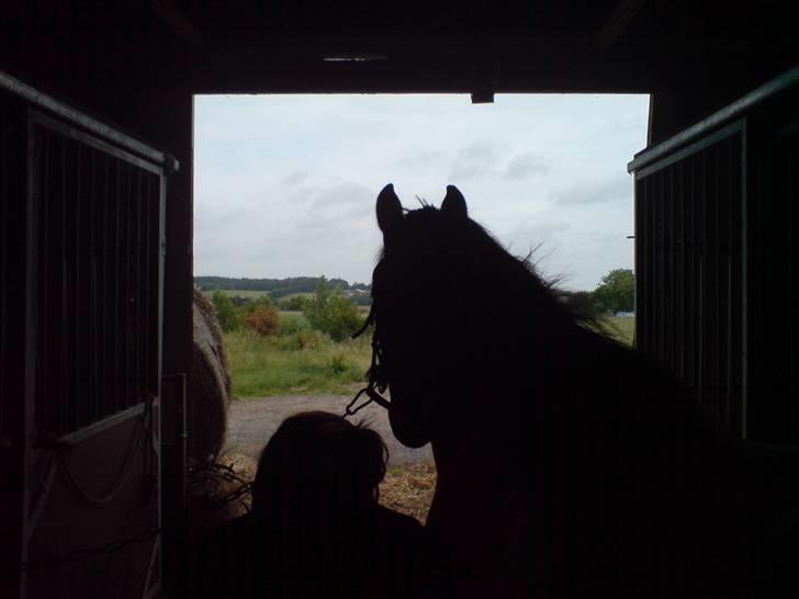 Anden særlig race Rico *Solgt* billede 7