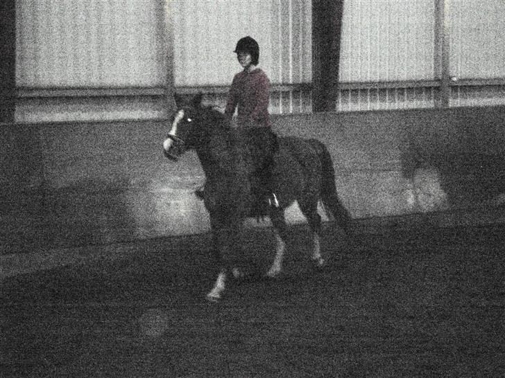 Anden særlig race Aros min nye Røde. - ved godt der er mørk men ville have ride billede med. billede 11