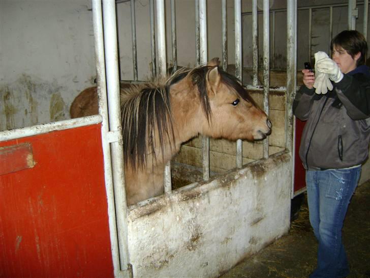 Anden særlig race Roxi - kan det spises? billede 7