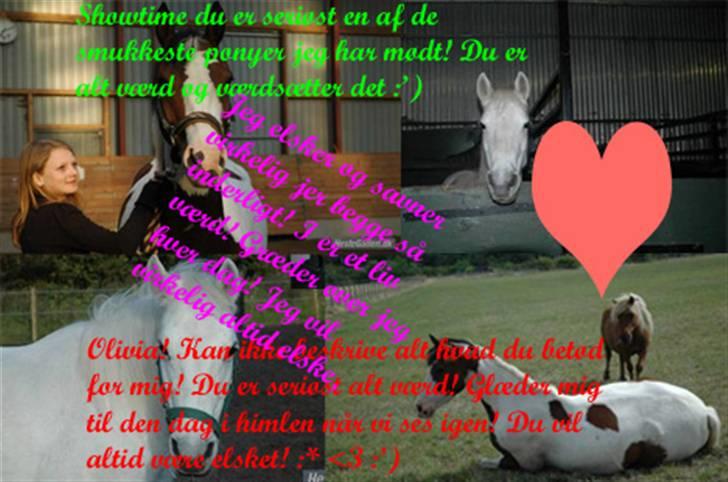 Anden særlig race »Olivia†RIP†MinDrøm*: ‹3 - 15. Når vi en dag ses igen er jeg i himlen ! ;´I <3 foto: MCL&&AME :I Fordi i var de bedste i; billede 15