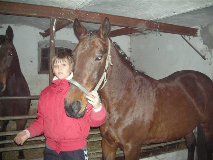 Traver chitara  (solgt )    - mig camilla og  chitara nede i stalden  billede 4