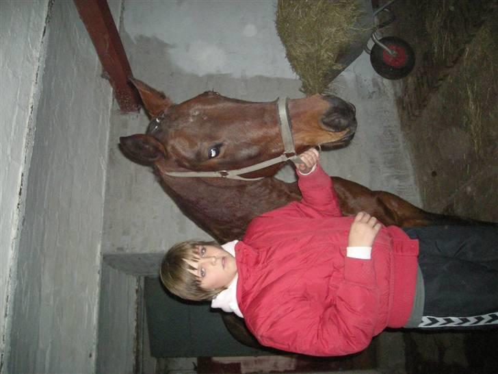 Traver chitara  (solgt )    - mig og henne billede 5