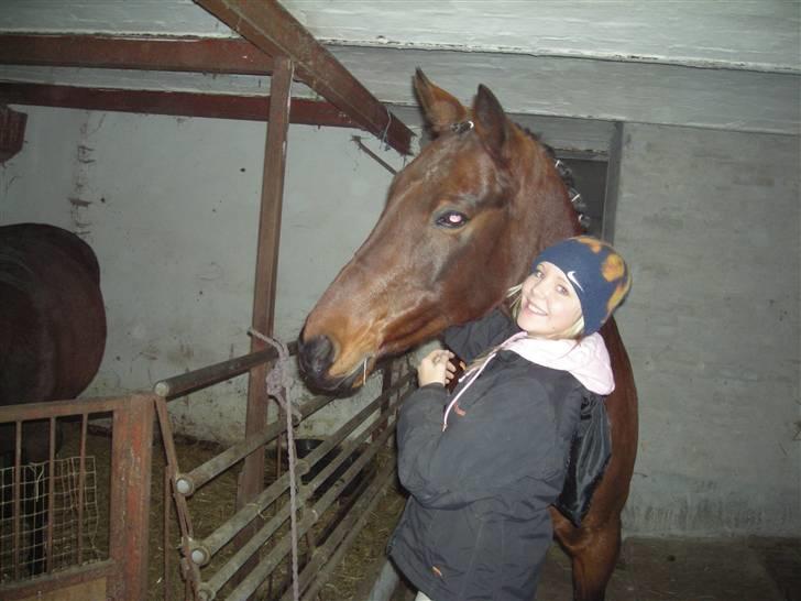 Traver chitara  (solgt )    - signe min pap søs og chitara hygger i  stalden <3  billede 6