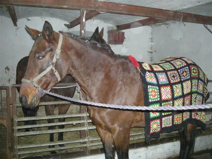 Traver chitara  (solgt )    - chitara med mit hjemmelavet dækken billede 7