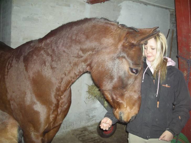 Traver chitara  (solgt )    - chitara og signe øver <33 billede 9